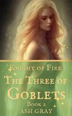 The Three of Goblets (Knight of Fire, #2) (eBook, ePUB)