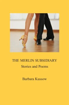 Cover The Merlin Subsidiary: Stories & Poems (eBook, ePUB)
