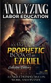 Analyzing Labor Education in the Prophetic Books of Ezekiel (The Education of Labor in the Bible, #17) (eBook, ePUB)
