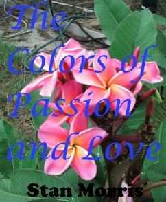 Cover The Colors of Passion and Love (eBook, ePUB)