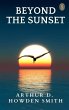 Beyond The Sunset (eBook, ePUB) - Bild 1