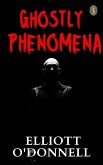 Ghostly Phenomena (eBook, ePUB)