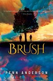 Brush: A Novel (eBook, ePUB)