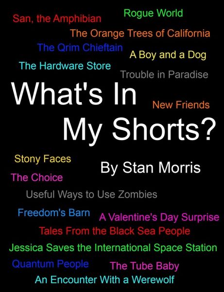 What's In My Shorts? (eBook, ePUB)