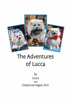 The Adventures of Lucca - Hogan, Cheryl Lea