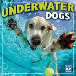 Underwater Dogs -- Photography by Seth Casteel