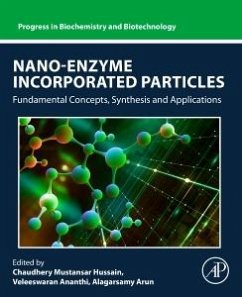 Nano-Enzyme Incorporated Particles