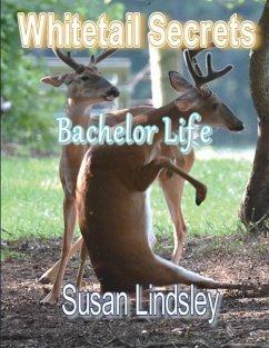 Cover Whitetail Secrets: Bachelor Life