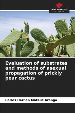 Evaluation of substrates and methods of asexual propagation of prickly pear cactus - Mateus Arango, Carlos Hernan