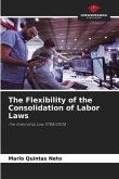 The Flexibility of the Consolidation of Labor Laws