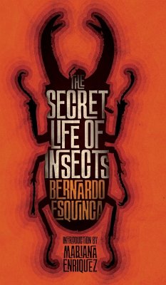 The Secret Life of Insects and Other Stories - Esquinca, Bernardo