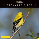 National Geographic: Backyard Birds 2024 Wall Calendar