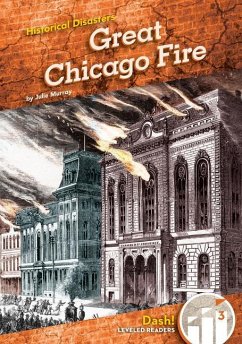 Great Chicago Fire - Murray, Julie