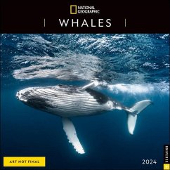National Geographic: Whales 2024 Wall Calendar - National Geographic; Disney