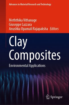 Clay Composites (eBook, PDF)