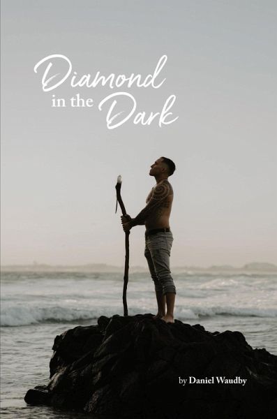 Diamond in the Dark (eBook, ePUB)