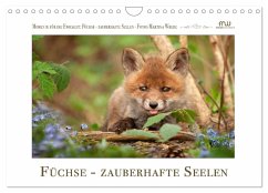 Füchse - zauberhafte Seelen (Wandkalender 2024 DIN A4 quer), CALVENDO Monatskalender