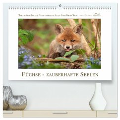 Füchse - zauberhafte Seelen (hochwertiger Premium Wandkalender 2024 DIN A2 quer), Kunstdruck in Hochglanz - Wrede - Wredefotografie, Martina