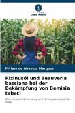 Rizinusöl und Beauveria bassiana bei der Bekämpfung von Bemisia tabaci