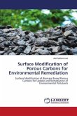 Surface Modification of Porous Carbons for Environmental Remediation