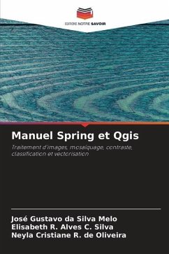 Manuel Spring et Qgis - da Silva Melo, José Gustavo;Alves C. Silva, Elisabeth R.;R. de Oliveira, Neyla Cristiane