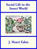 Social Life in the Insect World (eBook, ePUB)
