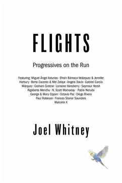 Flights (eBook, ePUB) - Whitney, Joel