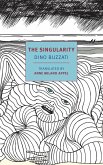 The Singularity (eBook, ePUB)