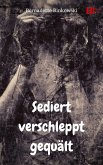 Sediert verschleppt gequält (eBook, ePUB)