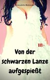 Von der schwarzen Lanze aufgespießt (eBook, ePUB)