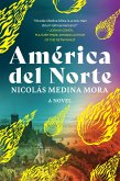 América del Norte (eBook, ePUB)