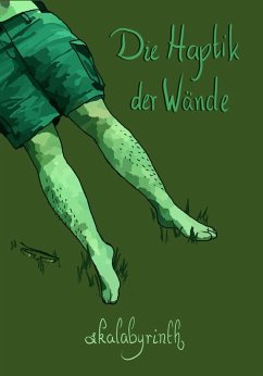 Cover Die Haptik der Wände (eBook, ePUB)