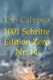 1001 Schritte - Edition Zero - Nr. 14 (eBook, ePUB)