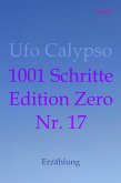 1001 Schritte - Edition Zero - Nr. 17 (eBook, ePUB)