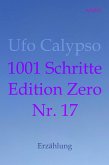 1001 Schritte - Edition Zero - Nr. 17 (eBook, ePUB)