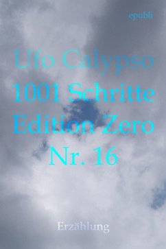 Cover 1001 Schritte - Edition Zero - Nr. 16 (eBook, ePUB)