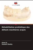 Réhabilitation prothétique des défauts maxillaires acquis