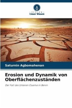 Erosion und Dynamik von Oberflächenzuständen - Agbomahenan, Saturnin