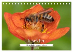 Insekten - Kleine Helfer unseres Lebens (Tischkalender 2024 DIN A5 quer), CALVENDO Monatskalender