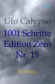 1001 Schritte - Edition Zero - Nr. 15 (eBook, ePUB)