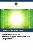 Architektonische Erkundung in Network on Chip (NoC)