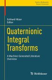 Quaternionic Integral Transforms (eBook, PDF)