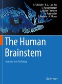 The Human Brainstem (eBook, PDF)