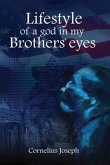 Lifestyle of a god in my Brothers' eyes (eBook, ePUB)