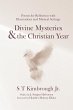 Divine Mysteries and the Christian Year... - Bild 1