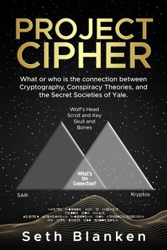 Project Cipher (eBook, ePUB) - Blanken, Seth