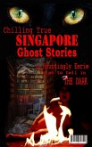 Chilling True Singapore Ghost Stories & Hauntingly Eerie Tales to Tell in the Dark Night (eBook, ePUB)