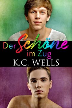 Der Schöne im Zug (eBook, ePUB) - Wells, K. C.