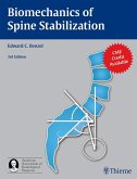 Biomechanics of Spine Stabilization (eBook, ePUB)