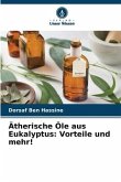 Ätherische Öle aus Eukalyptus: Vorteile und mehr!